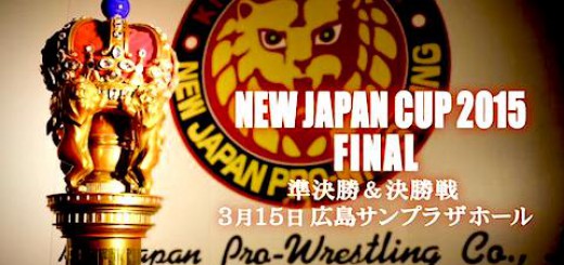 ニュージャパン・カップ2015 優勝決定戦