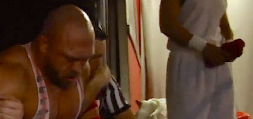 WWEバニー中の人